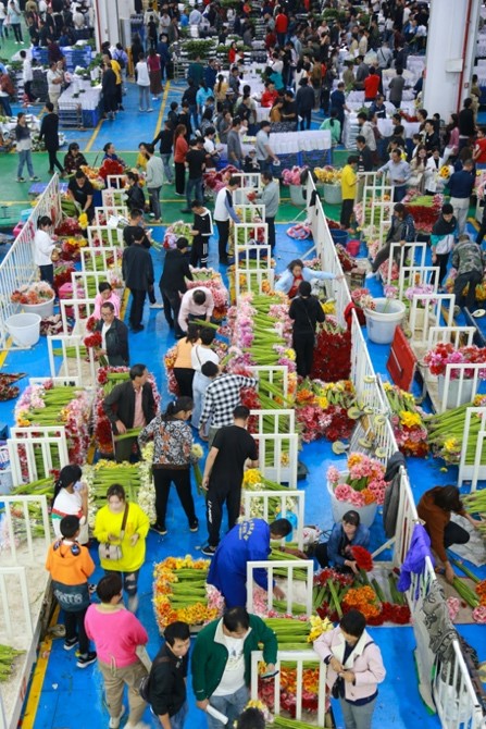 SW China’s Yunnan province develops street market into wind vane of domestic flower market