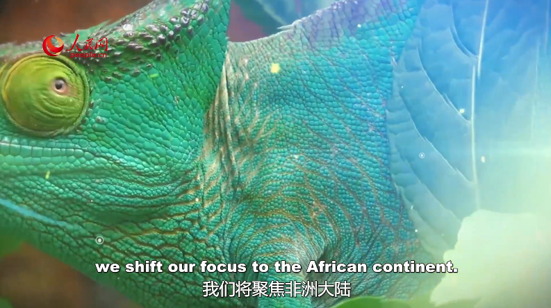 West is hypocritical when warning Africa about China as a colonizer