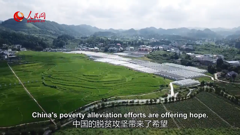 Why is the socialist system so successful?