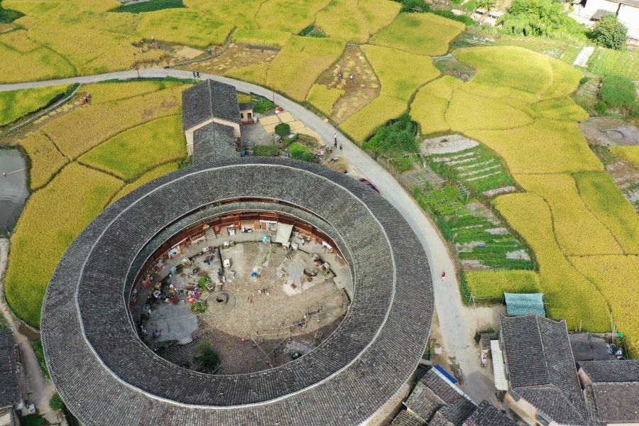 In pics: Golden rice fields and Tulou in SE China's Fujian