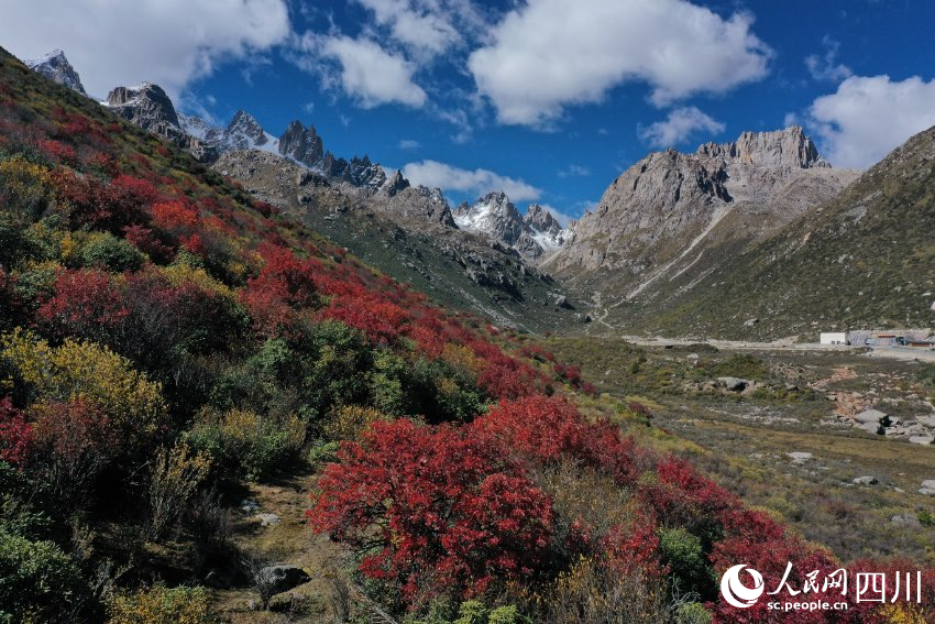 Stunning late autumn scenery in China's Garze Tibetan Autonomous Prefecture