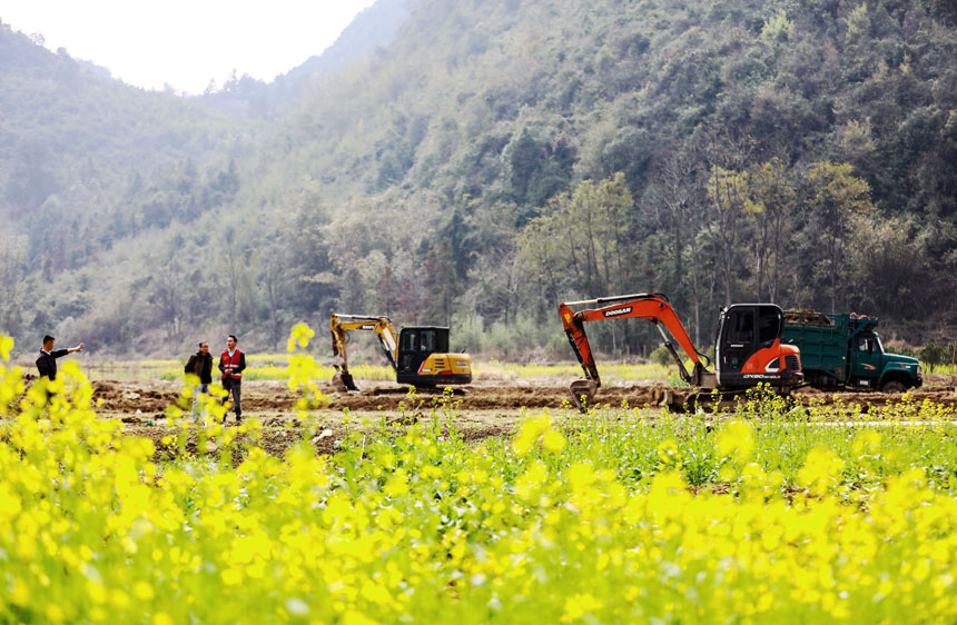 Village in S. China's Guangxi reclaims over 100 mu of abandoned farmland