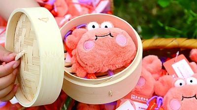 Plush creative cultural products win hearts of young people