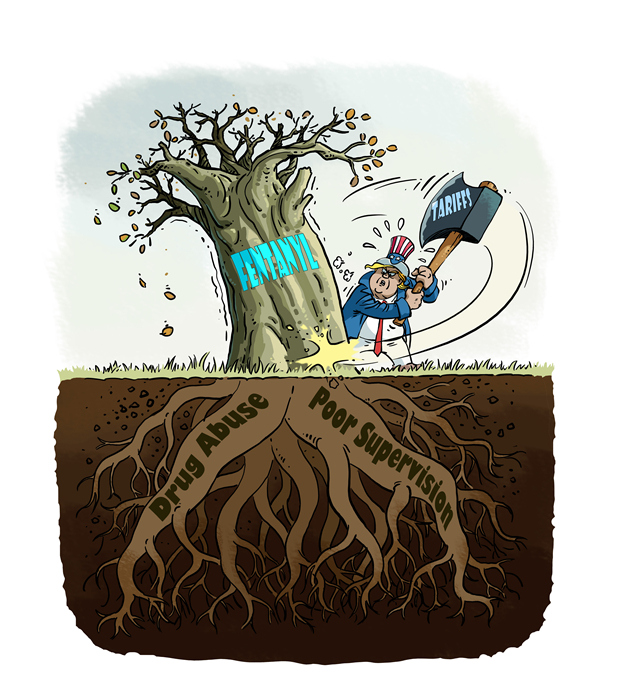 U.S. fentanyl crisis: Cutting weeds without removing roots