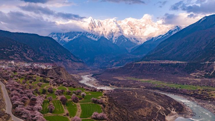 Picturesque scenery of peach blossoms in Nyingchi, SW China's Xizang