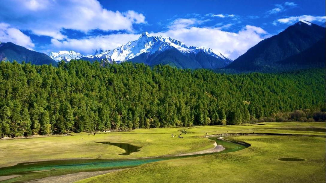 Pristine landscapes reflect conservation success in SW China's Xizang