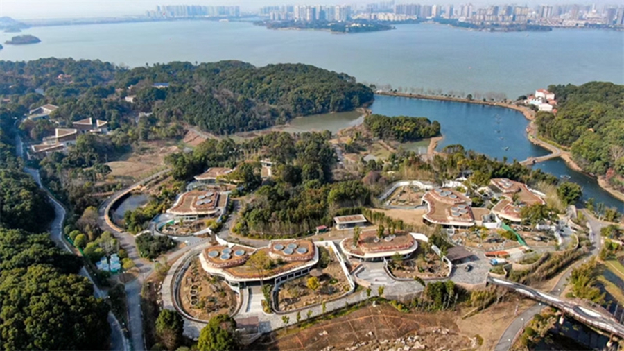 Giant pandas have a good time at Yueyang Zhonghua Giant Panda Garden in C China's Hunan