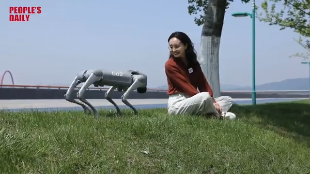 The future is here: Meet Unitree's intelligent robots