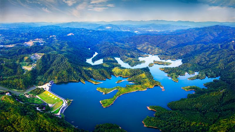 E China's Jiangxi sees growth in forest farming and related industries