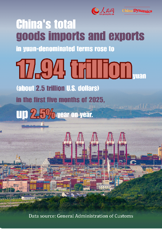 China Dynamics: China's foreign trade shows resilience in first five months