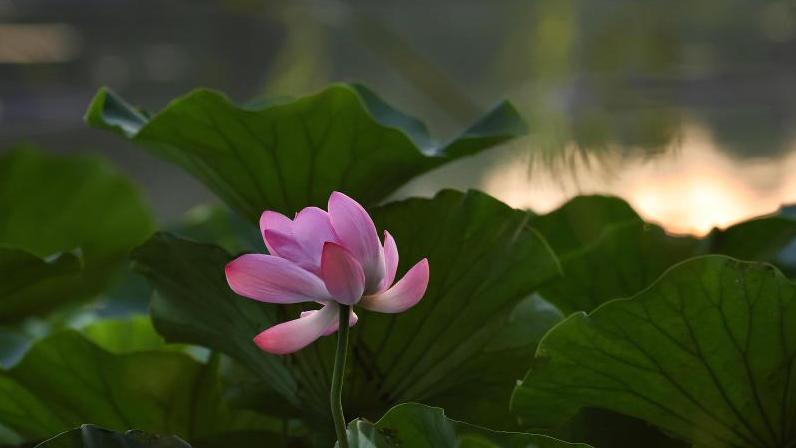 Tianchi Lake in NE China melts back to life