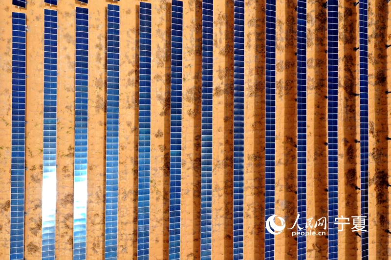 New solar energy project turns desert into 'sea of blue'