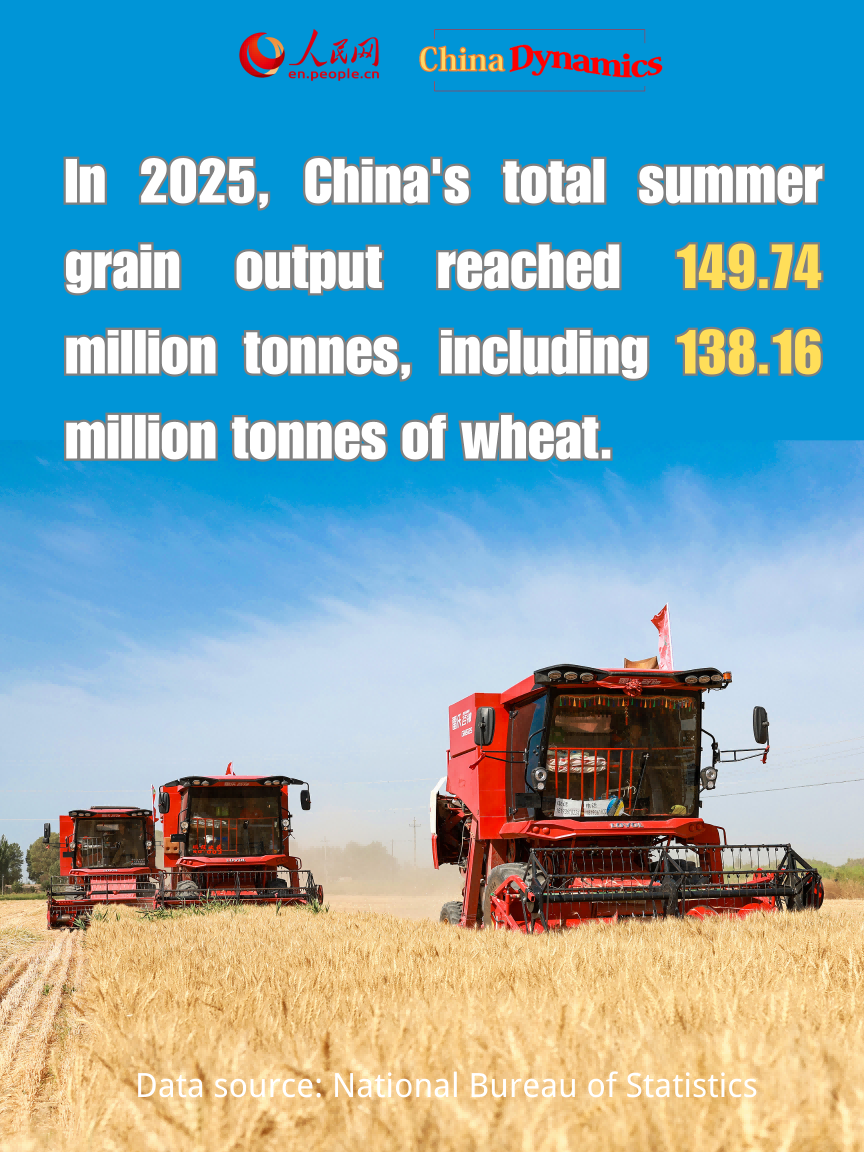 China Dynamics: Four key statistics reveal China's economic vitality and potential