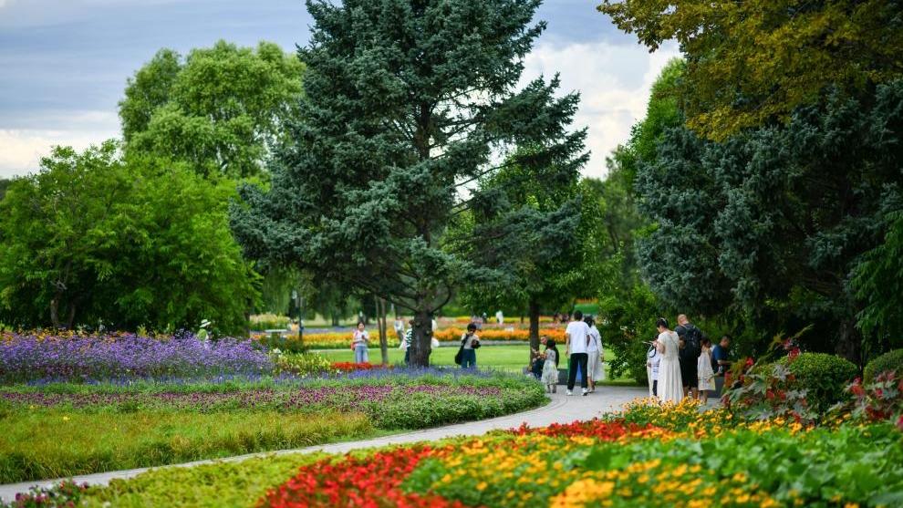 Taiyangdao National Wetland Park in NE China attracts tourists in midsummer