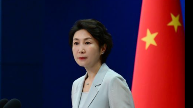 China calls for immediate Gaza ceasefire