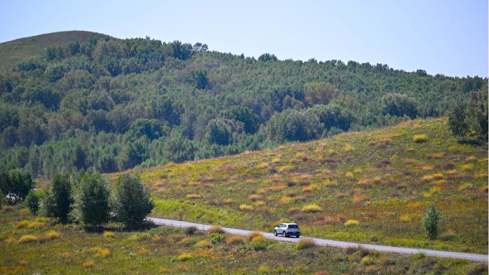 Scenery of Ulan Butong grassland in China's Inner Mongolia