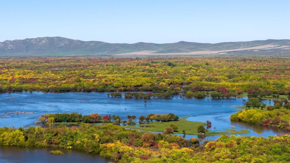 View of wetland around Ergune River in China's Inner Mongolia
