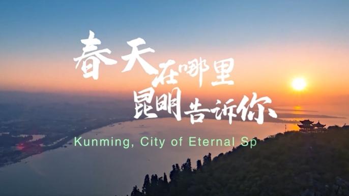 Spring city of China enchants foreign media professionals