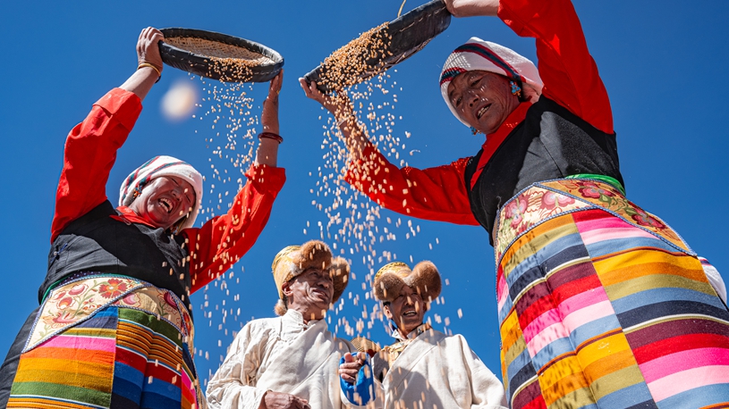 Farmers' harvest festival marked in China's Xizang