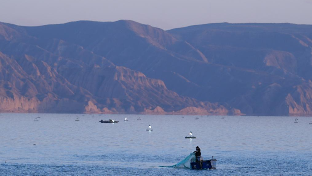 Longyang Gorge area develops distinctive silver fish fishery and tourism industry