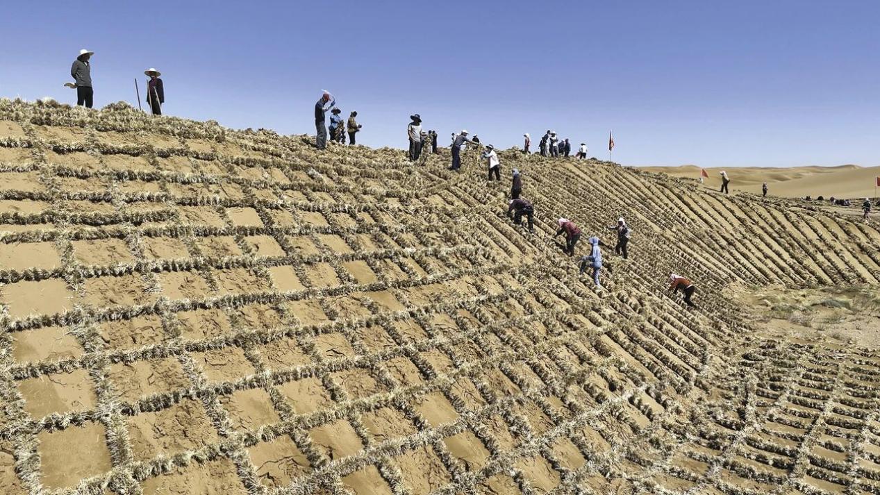 2beaaa749b25d625b2d24c36d93c3f7d