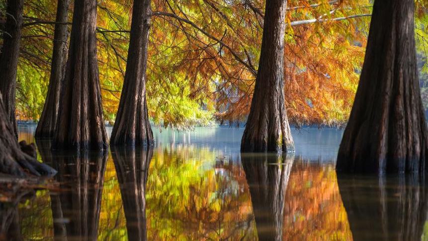 Early winter scenery across China