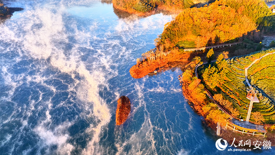Breathtaking views of tea-themed park shrouded in morning mist in E China's Anhui