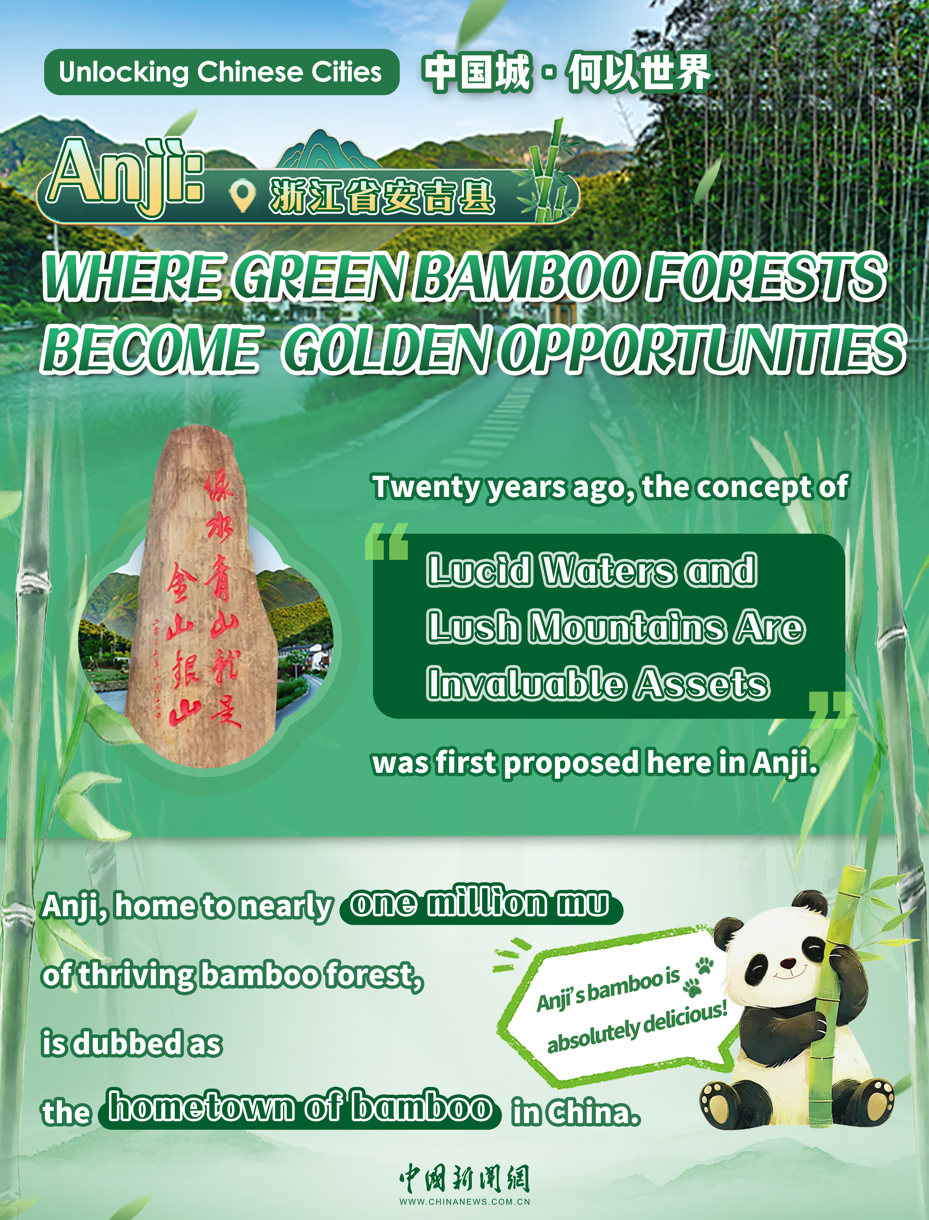 Anji: Where green bamboo forests become golden opportunities