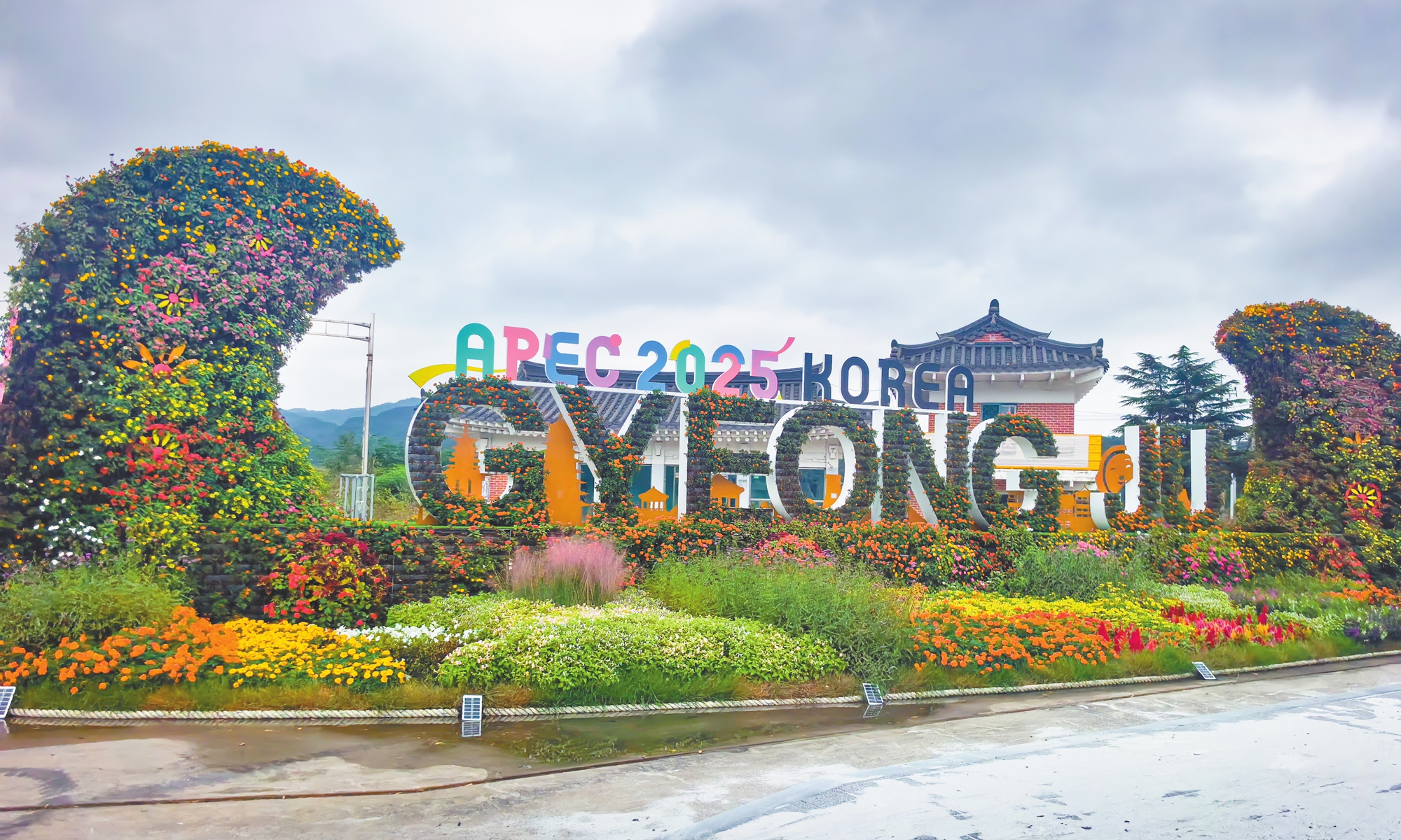 A welcoming flowerbed on the street of Gyeongju for the upcoming APEC Economic Leaders' Meeting. Photo: Liu Yang/GT